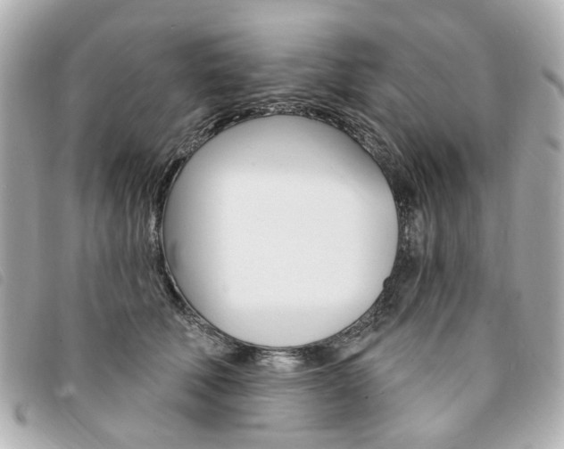 X0000094210610200710260935