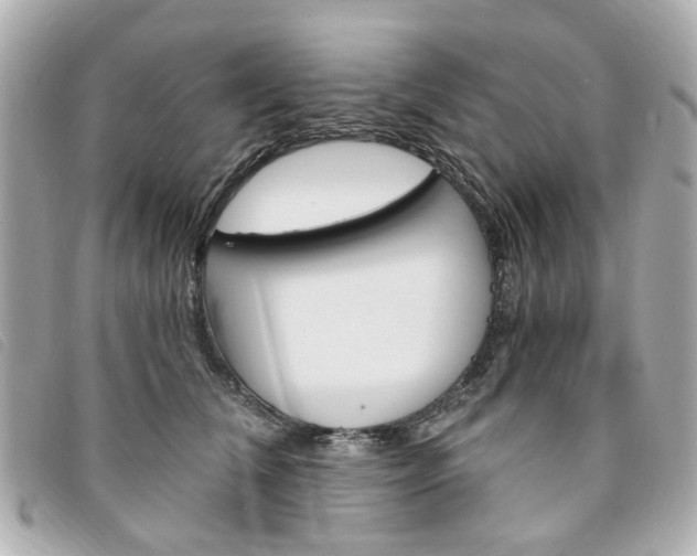 X0000094210612200710260935