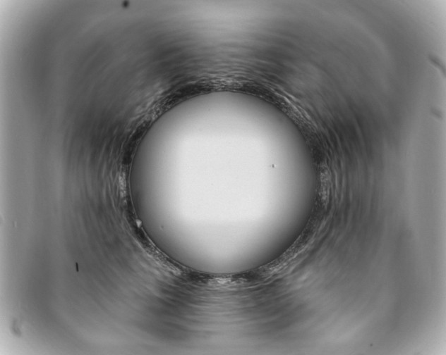 X0000094210613200710260935