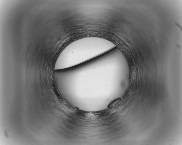 X0000094210616200710260935