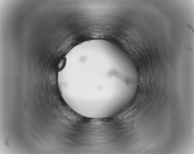 X0000094210620200710260934