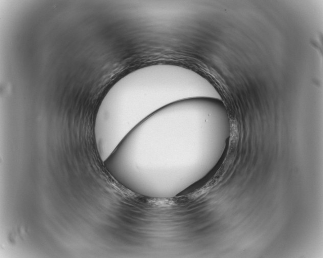 X0000094210621200710260934