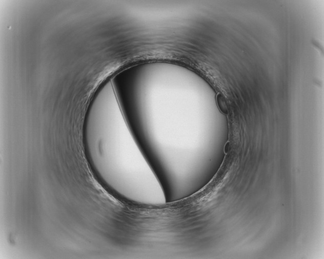 X0000094210625200710260934