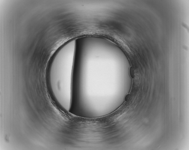 X0000094210626200710260934