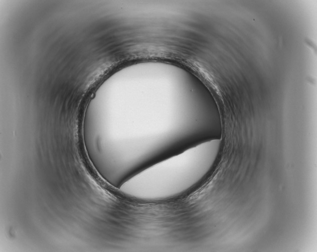 X0000094210629200710260934