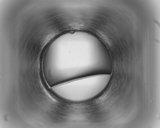 X0000094210630200710260934