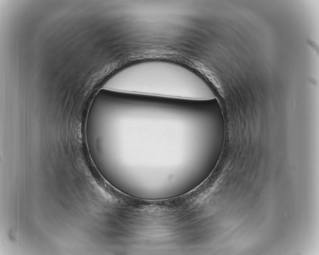 X0000094210633200710260934