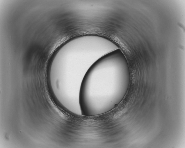 X0000094210634200710260934