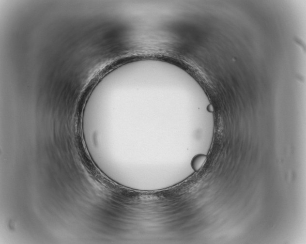 X0000094210636200710260934