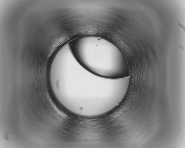 X0000094210638200710260934