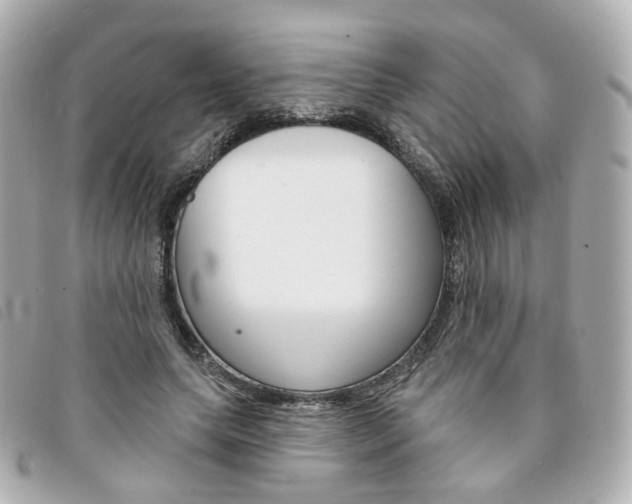 X0000094210639200710260934