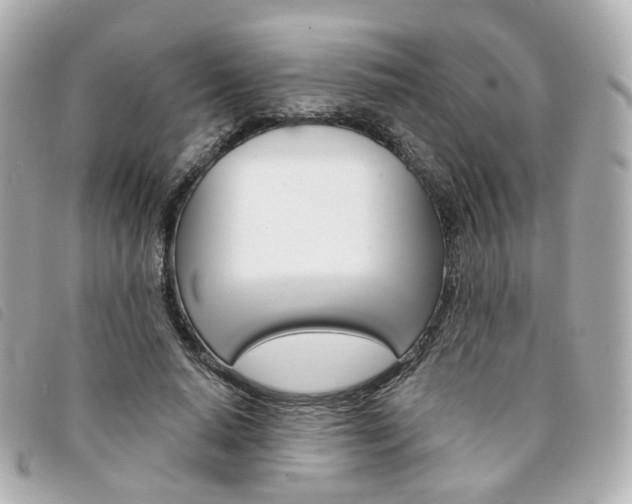 X0000094210640200710260934