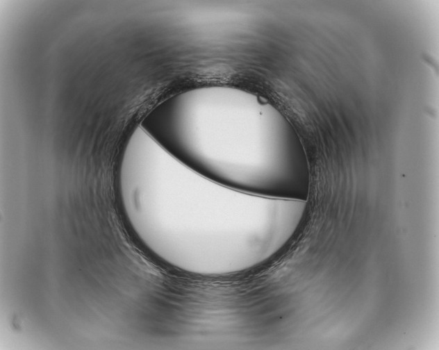 X0000094210641200710260934