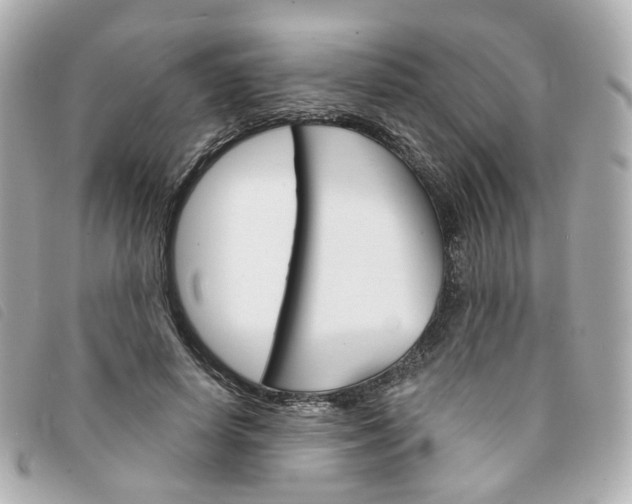 X0000094210642200710260934