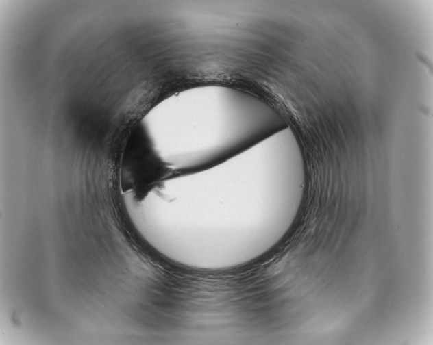 X0000094210643200710260934