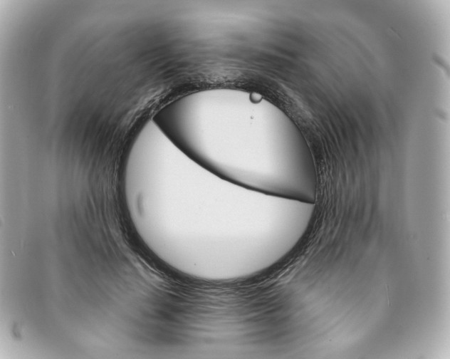 X0000094210644200710260934