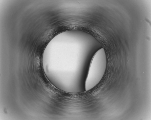 X0000094210646200710260934