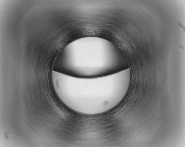 X0000094210647200710260934