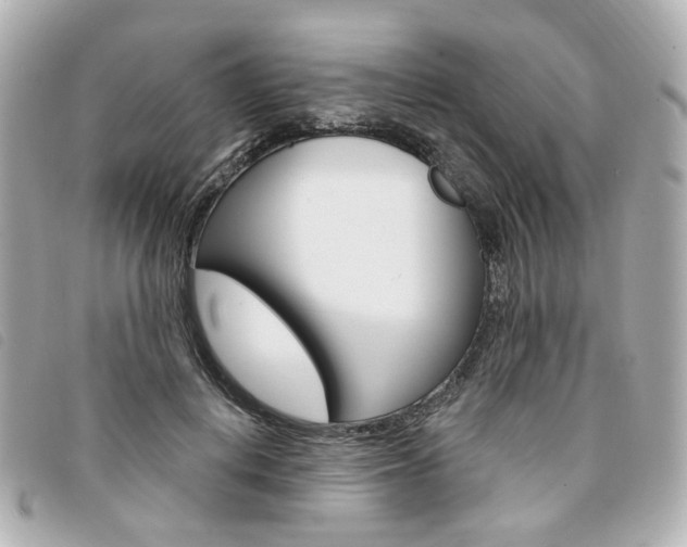 X0000094210648200710260934