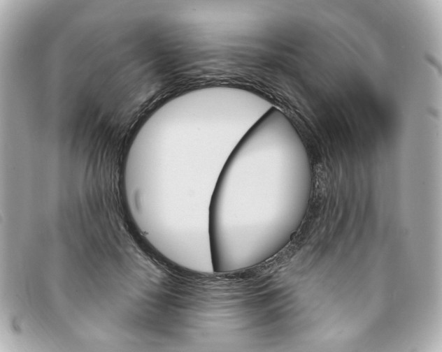 X0000094210650200710260934