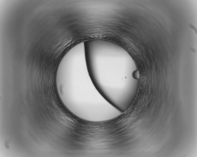 X0000094210652200710260934