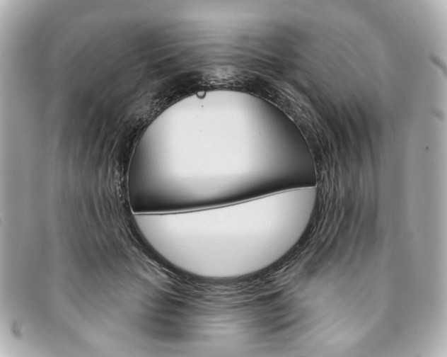 X0000094210653200710260934