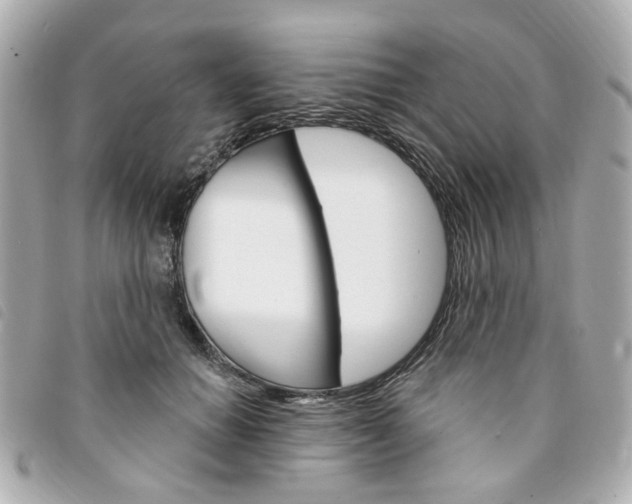 X0000094210654200710260934
