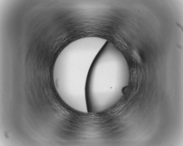 X0000094210655200710260934