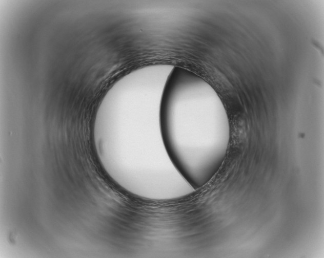 X0000094210656200710260934