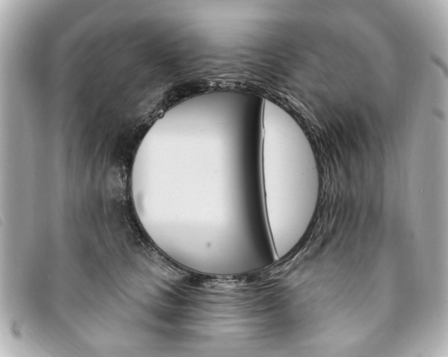 X0000094210661200710260934
