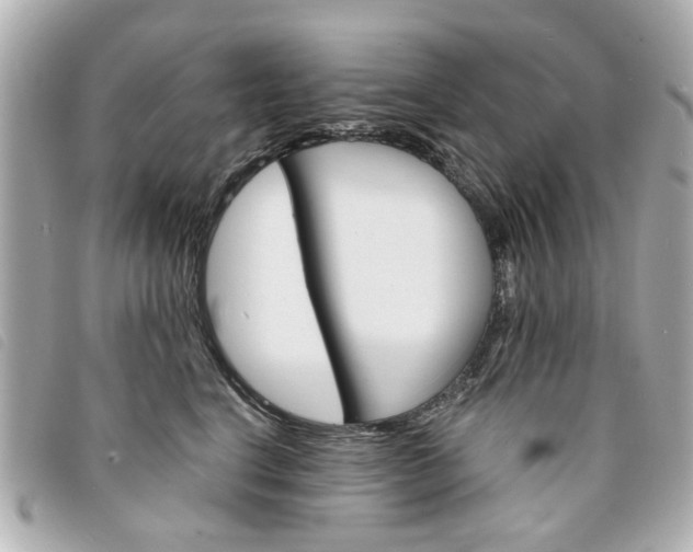 X0000094210664200710260934