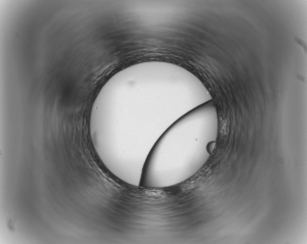 X0000094210666200710260934