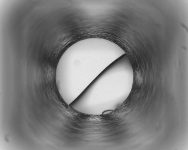 X0000094210668200710260934