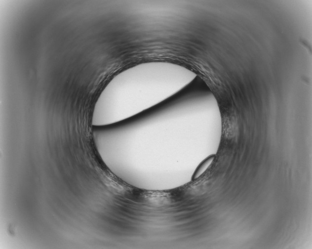 X0000094210670200710260934