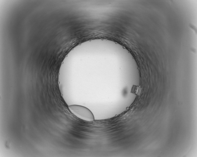 X0000094210672200710260934
