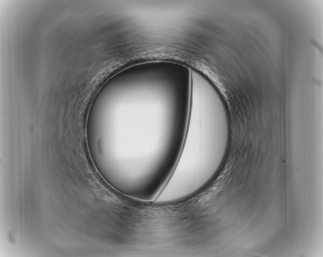 X0000094210673200710260934