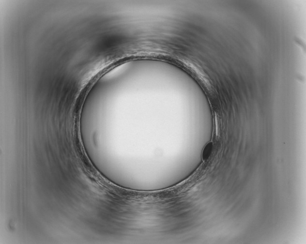 X0000094210675200710260934