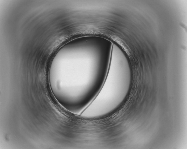 X0000094210677200710260934