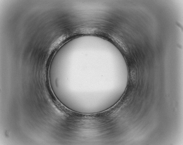 X0000094210682200710260934