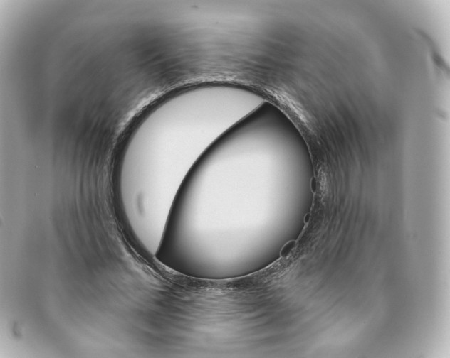 X0000094210684200710260934