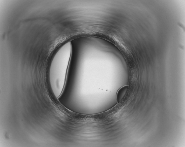 X0000094210685200710260934