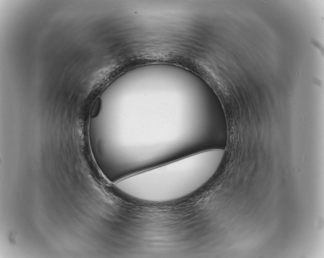 X0000094210688200710260933
