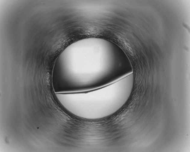 X0000094210689200710260933