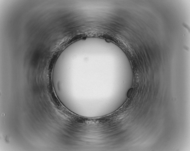 X0000094210690200710260933