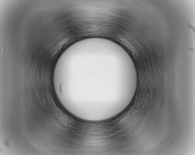 X0000094210693200710260933