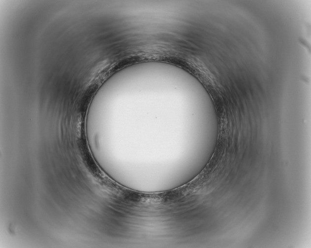 X0000094210694200710260933