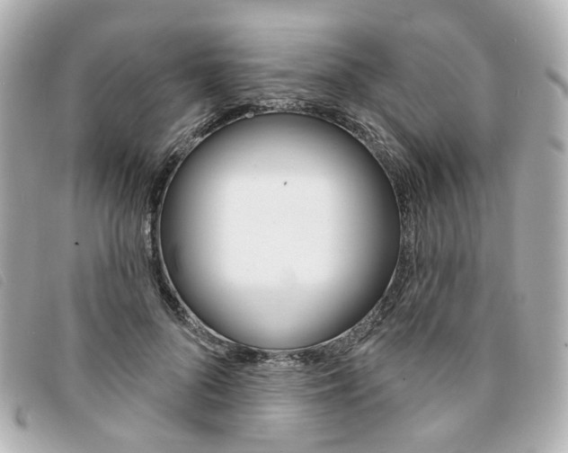 X0000094210696200710260933