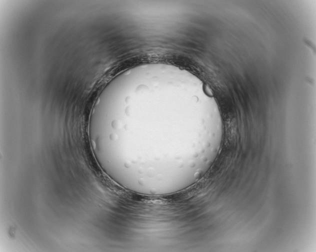 X0000094210698200710260933