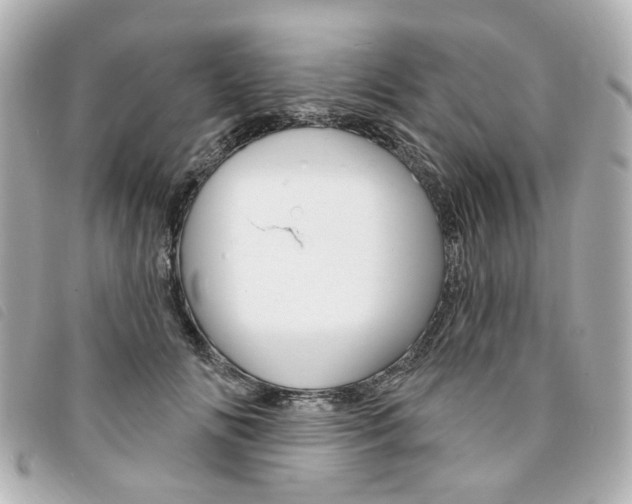 X0000094210702200710260933