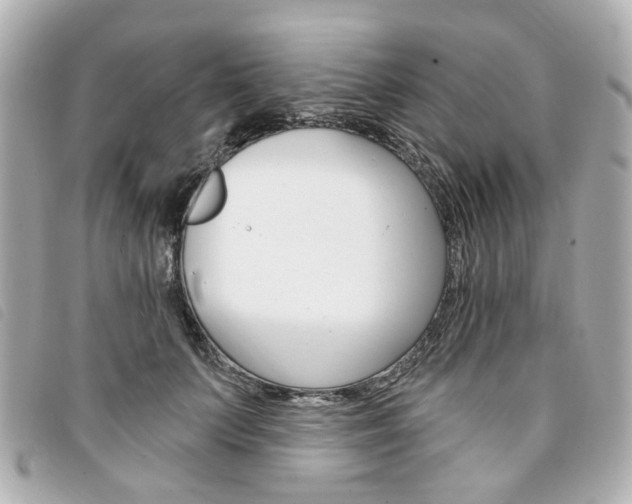 X0000094210703200710260933